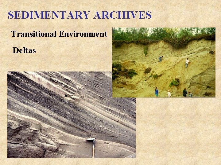 SEDIMENTARY ARCHIVES Transitional Environment Deltas 