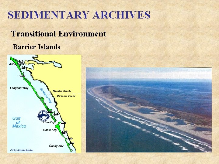 SEDIMENTARY ARCHIVES Transitional Environment Barrier Islands 