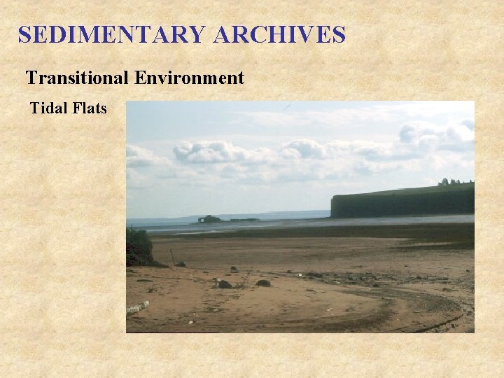 SEDIMENTARY ARCHIVES Transitional Environment Tidal Flats 
