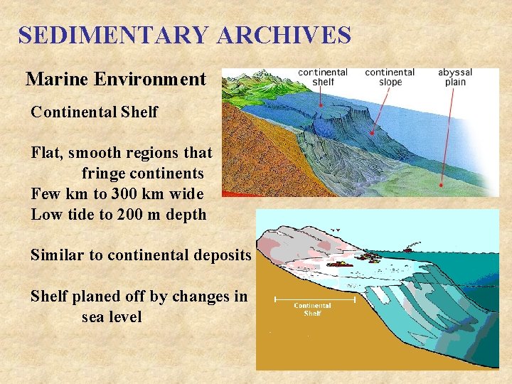 SEDIMENTARY ARCHIVES Marine Environment Continental Shelf Flat, smooth regions that fringe continents Few km