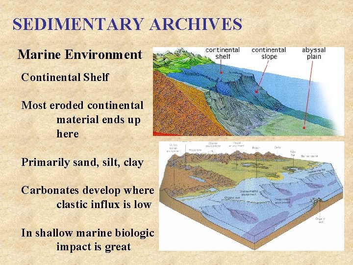 SEDIMENTARY ARCHIVES Marine Environment Continental Shelf Most eroded continental material ends up here Primarily
