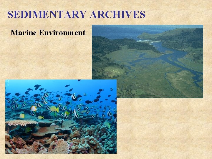 SEDIMENTARY ARCHIVES Marine Environment 