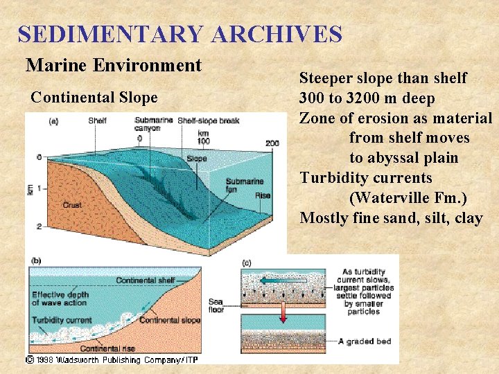 SEDIMENTARY ARCHIVES Marine Environment Continental Slope Steeper slope than shelf 300 to 3200 m