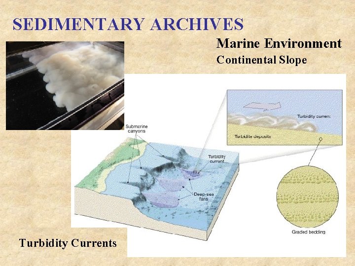 SEDIMENTARY ARCHIVES Marine Environment Continental Slope Turbidity Currents 