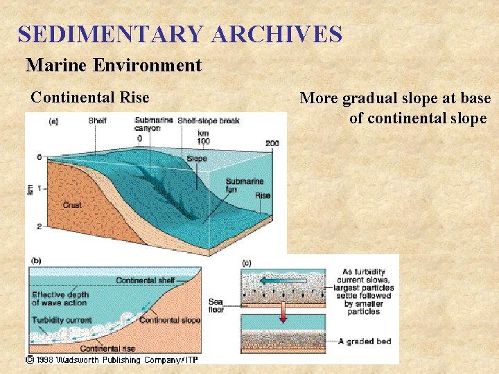 SEDIMENTARY ARCHIVES Marine Environment Continental Rise More gradual slope at base of continental slope