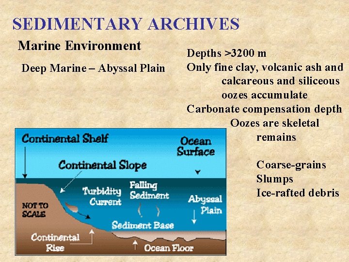 SEDIMENTARY ARCHIVES Marine Environment Deep Marine – Abyssal Plain Depths >3200 m Only fine