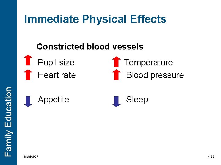 Immediate Physical Effects Family Education Constricted blood vessels Pupil size Heart rate Temperature Blood Immediate Physical Effects Family Education Constricted blood vessels Pupil size Heart rate Temperature Blood