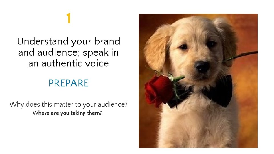 1 Understand your brand audience; speak in an authentic voice PREPARE Why does this