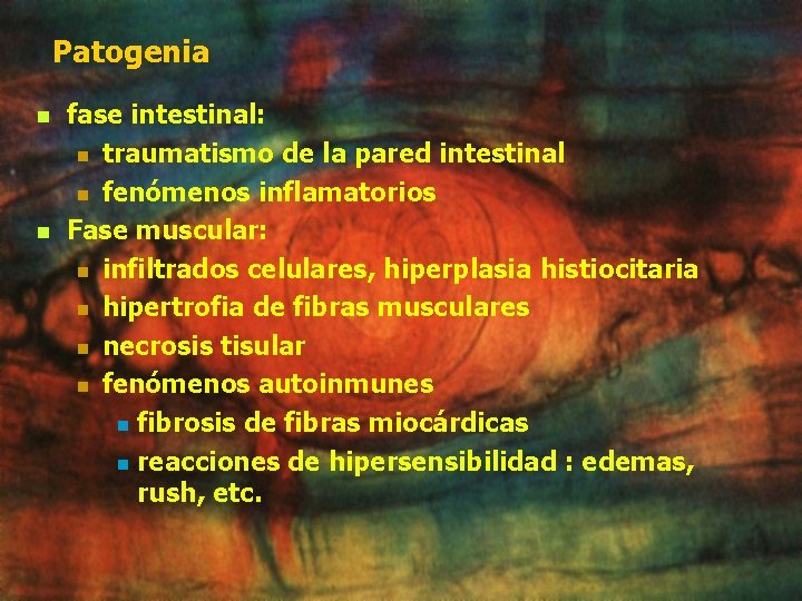 Patogenia n n fase intestinal: n traumatismo de la pared intestinal n fenómenos inflamatorios Patogenia n n fase intestinal: n traumatismo de la pared intestinal n fenómenos inflamatorios