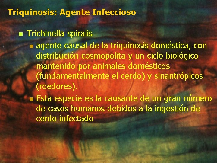 Triquinosis: Agente Infeccioso n Trichinella spiralis n agente causal de la triquinosis doméstica, con