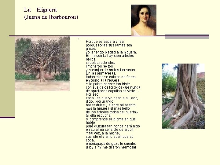 La Higuera (Juana de Ibarbourou) n Porque es áspera y fea, porque todas sus