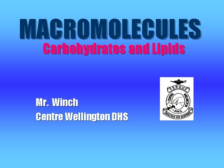 MACROMOLECULES Carbohydrates and Lipids Mr. Winch Centre Wellington DHS 