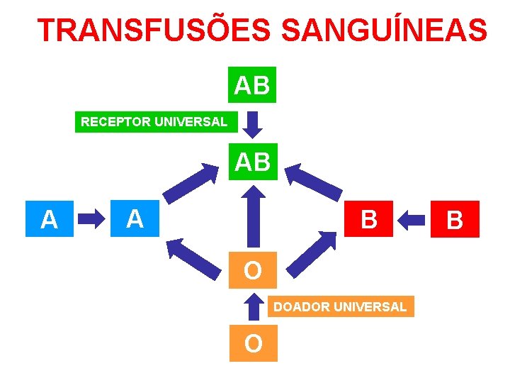 TRANSFUSÕES SANGUÍNEAS AB RECEPTOR UNIVERSAL AB A A B O DOADOR UNIVERSAL O B
