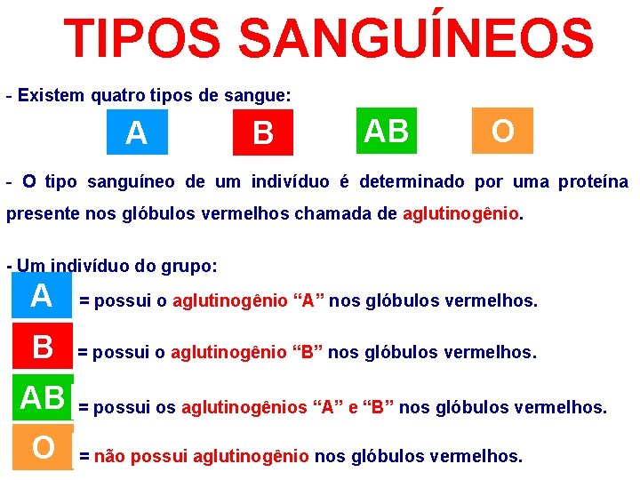 TIPOS SANGUÍNEOS - Existem quatro tipos de sangue: A B AB O - O