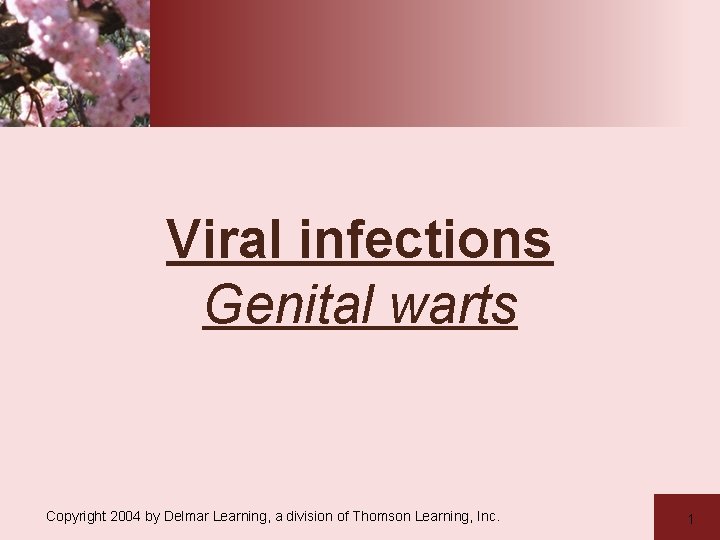 Viral infections Genital warts Copyright 2004 by Delmar Learning, a division of Thomson Learning,