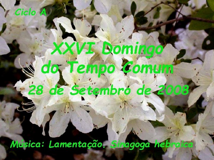 Ciclo A XXVI Domingo do Tempo Comum 28 de Setembro de 2008 Música: Lamentação.