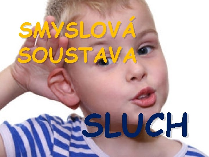 SMYSLOVÁ SOUSTAVA SLUCH 