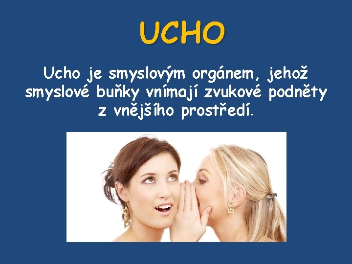 UCHO Ucho je smyslovým orgánem, jehož smyslové buňky vnímají zvukové podněty z vnějšího prostředí.