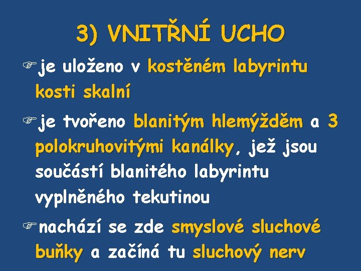 3) VNITŘNÍ UCHO je uloženo v kostěném labyrintu kosti skalní je tvořeno blanitým hlemýžděm