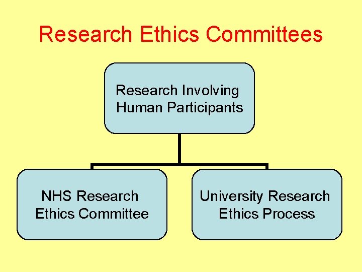 Research Ethics Committees Research Involving Human Participants NHS Research Ethics Committee University Research Ethics