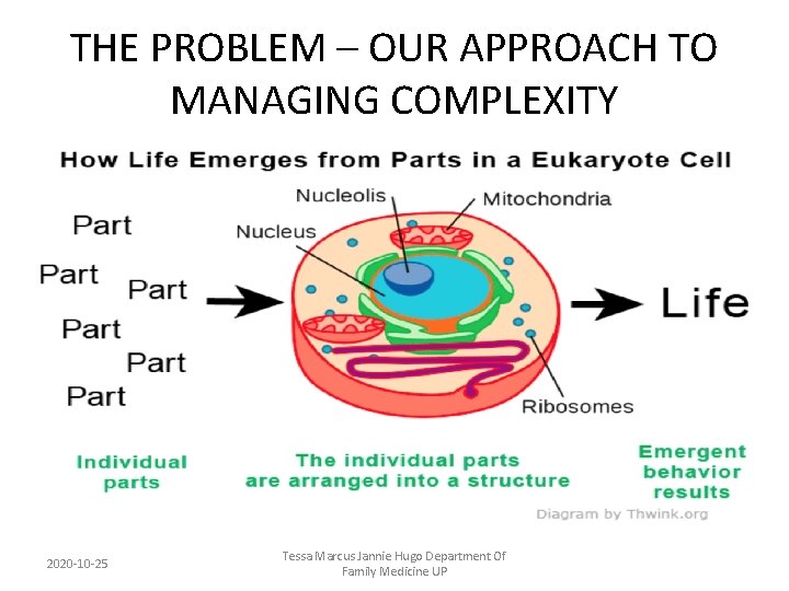 THE PROBLEM – OUR APPROACH TO MANAGING COMPLEXITY 2020 -10 -25 Tessa Marcus Jannie