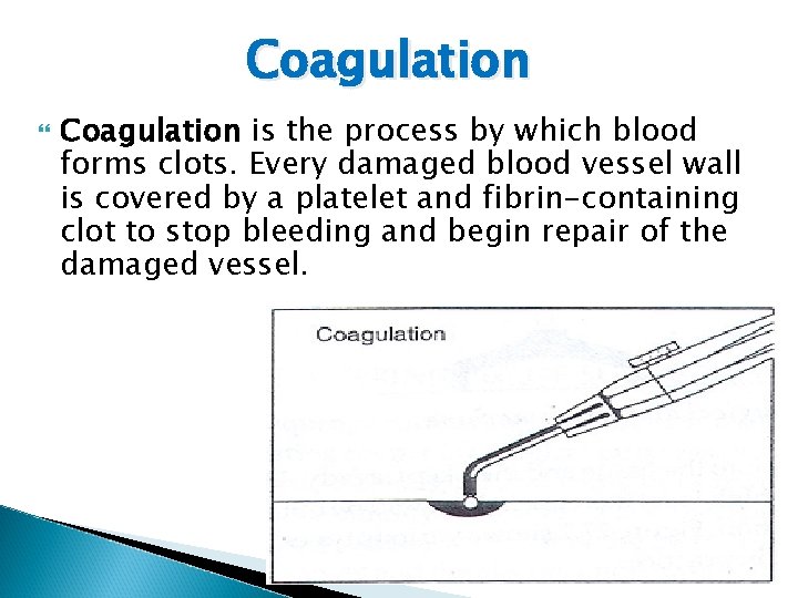 Coagulation is the process by which blood forms clots. Every damaged blood vessel wall