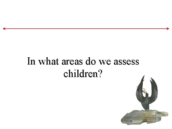 In what areas do we assess children? In what areas do we assess children?