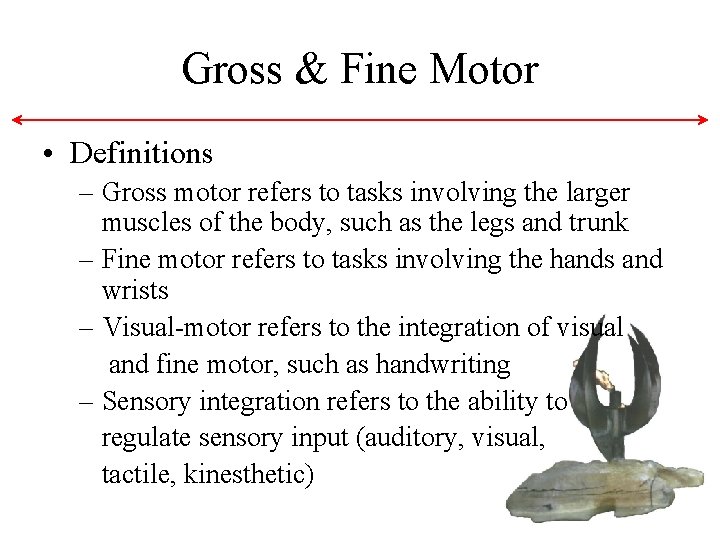 Gross & Fine Motor • Definitions – Gross motor refers to tasks involving the Gross & Fine Motor • Definitions – Gross motor refers to tasks involving the