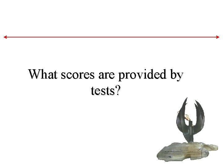 What scores are provided by tests? What scores are provided by tests?