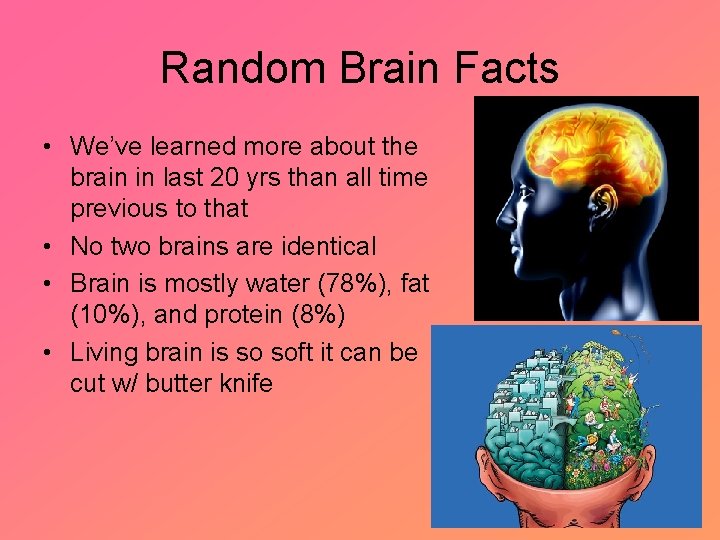 Random Brain Facts • We’ve learned more about the brain in last 20 yrs