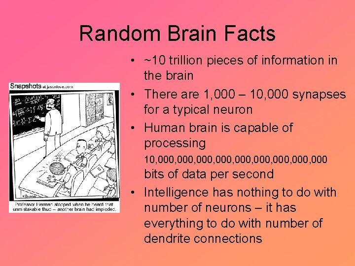Random Brain Facts • ~10 trillion pieces of information in the brain • There