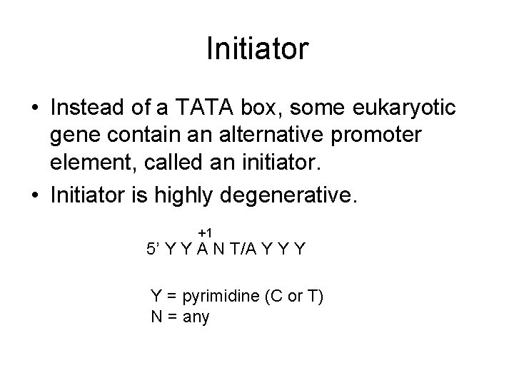 Initiator • Instead of a TATA box, some eukaryotic gene contain an alternative promoter