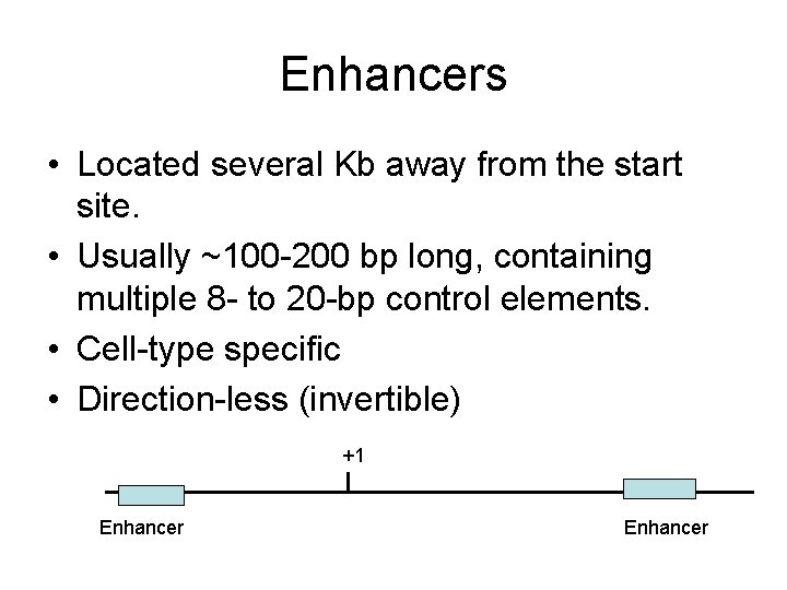 Enhancers • Located several Kb away from the start site. • Usually ~100 -200