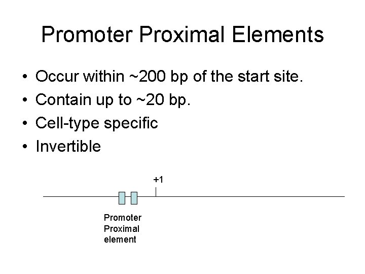 Promoter Proximal Elements • • Occur within ~200 bp of the start site. Contain