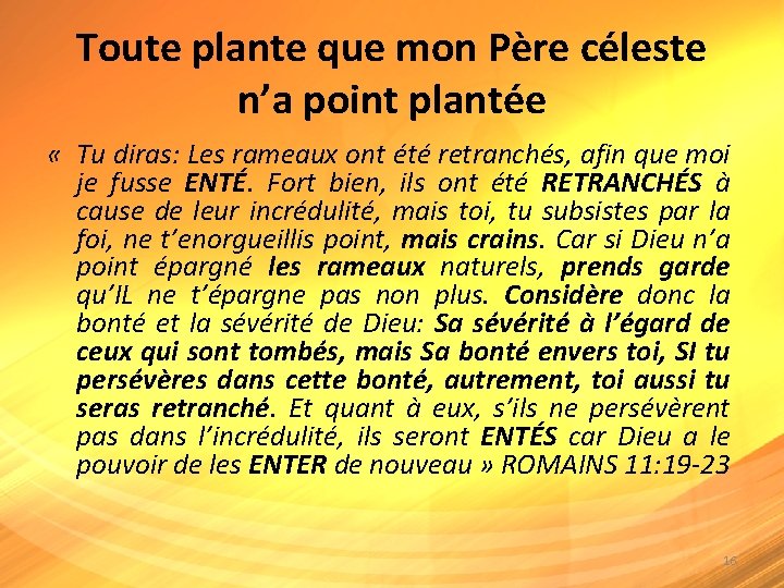 Toute plante que mon Père céleste n’a point plantée « Tu diras: Les rameaux