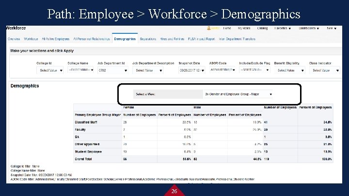 Path: Employee > Workforce > Demographics 26 
