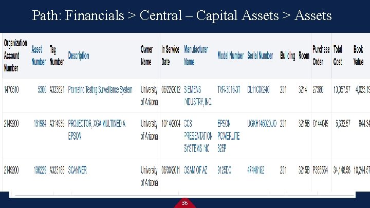 Path: Financials > Central – Capital Assets > Assets 36 