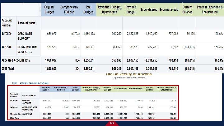 Path: Budget > Budget – Current > Departmental Account Summary 43 