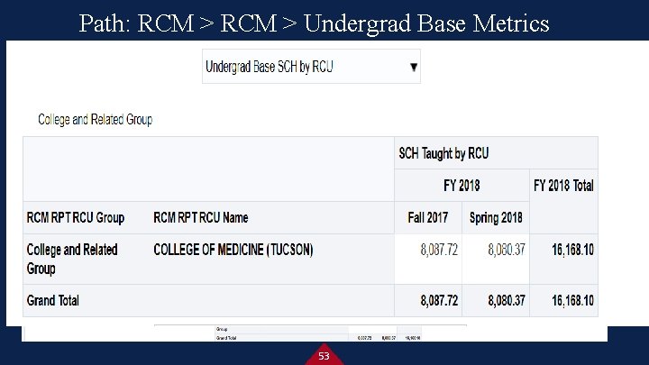 Path: RCM > Undergrad Base Metrics 53 