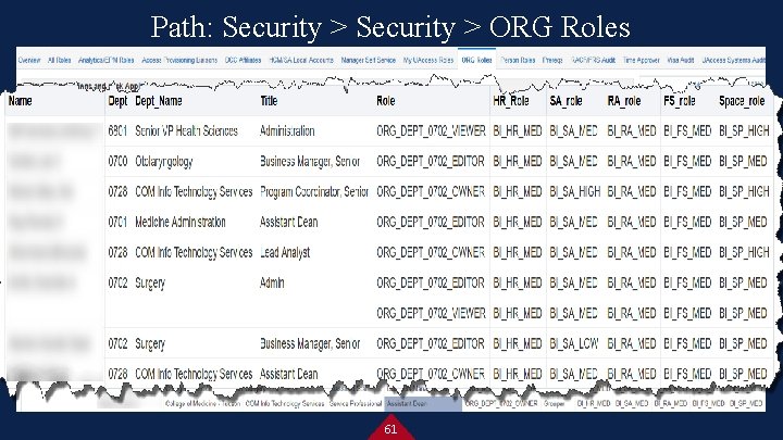 Path: Security > ORG Roles 61 
