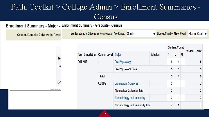 Path: Toolkit > College Admin > Enrollment Summaries Census 67 