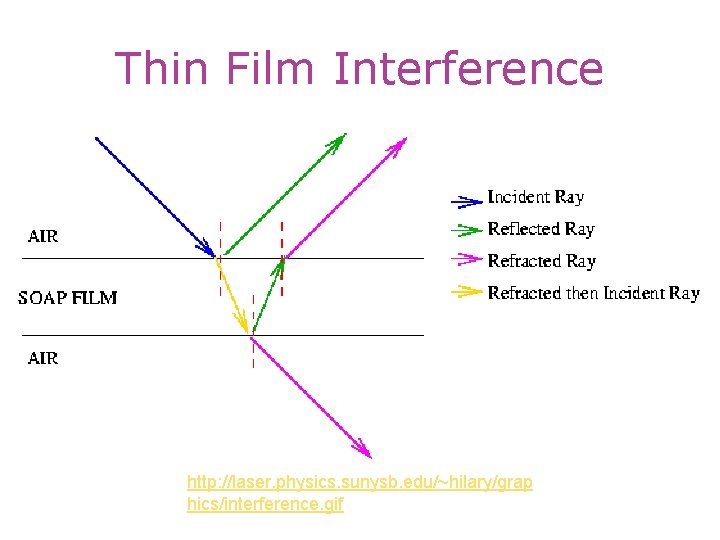 Thin Film Interference http: //laser. physics. sunysb. edu/~hilary/grap hics/interference. gif 