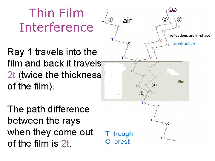 Thin Film Interference Ray 1 travels into the film and back it travels 2