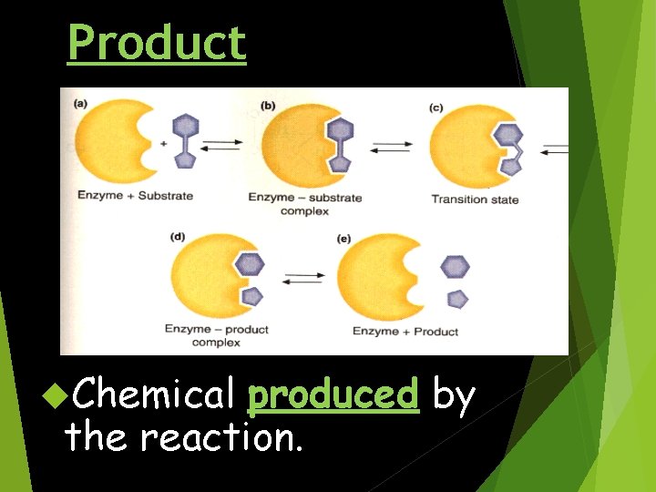 Product Chemical produced by the reaction. 