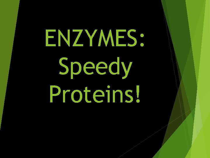 ENZYMES: Speedy Proteins! 