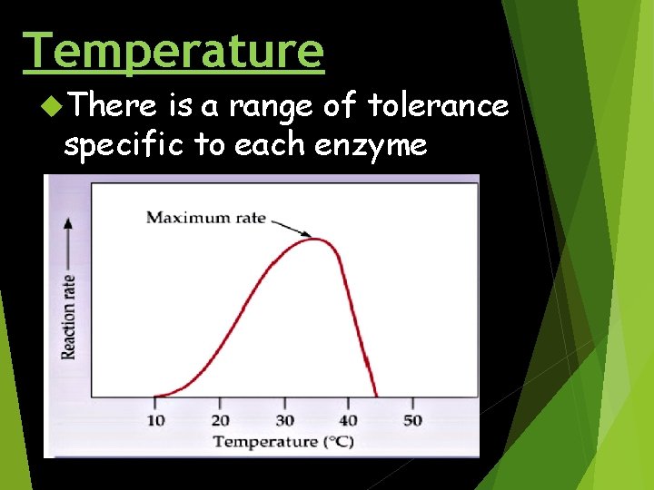 Temperature There is a range of tolerance specific to each enzyme 