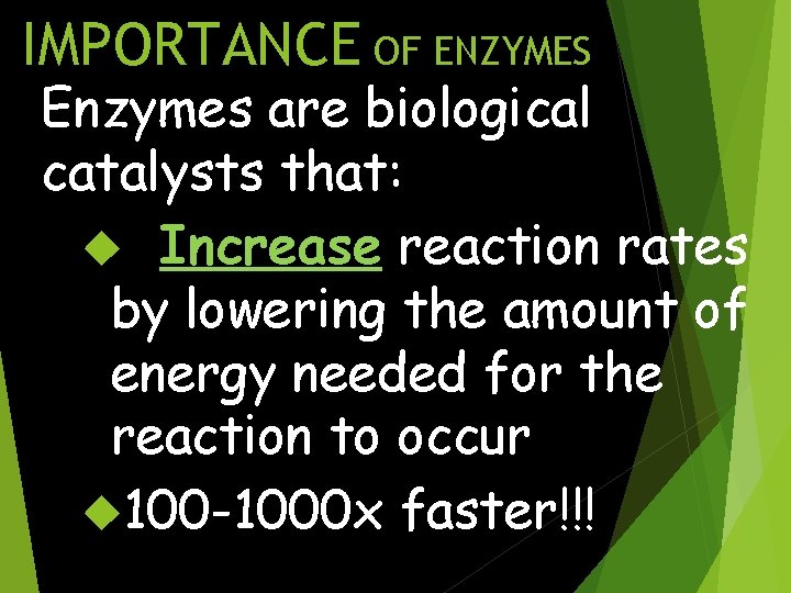 IMPORTANCE OF ENZYMES Enzymes are biological catalysts that: Increase reaction rates by lowering the