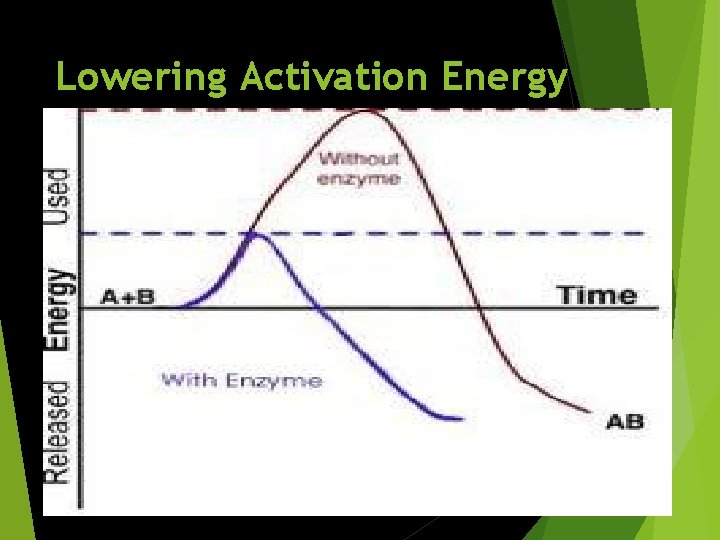 Lowering Activation Energy 