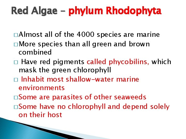 Red Algae – phylum Rhodophyta � Almost all of the 4000 species are marine