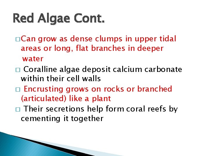 Red Algae Cont. � Can grow as dense clumps in upper tidal areas or
